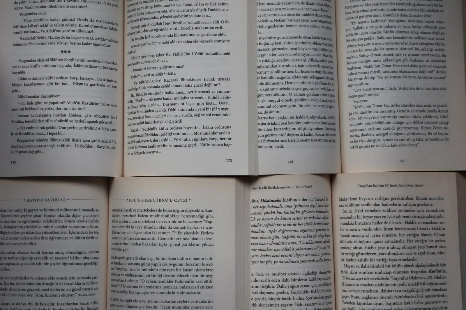 PDF görüntüleyicideki sayfa numarasıyla belgenin basılı numarasının karşılaştırılması